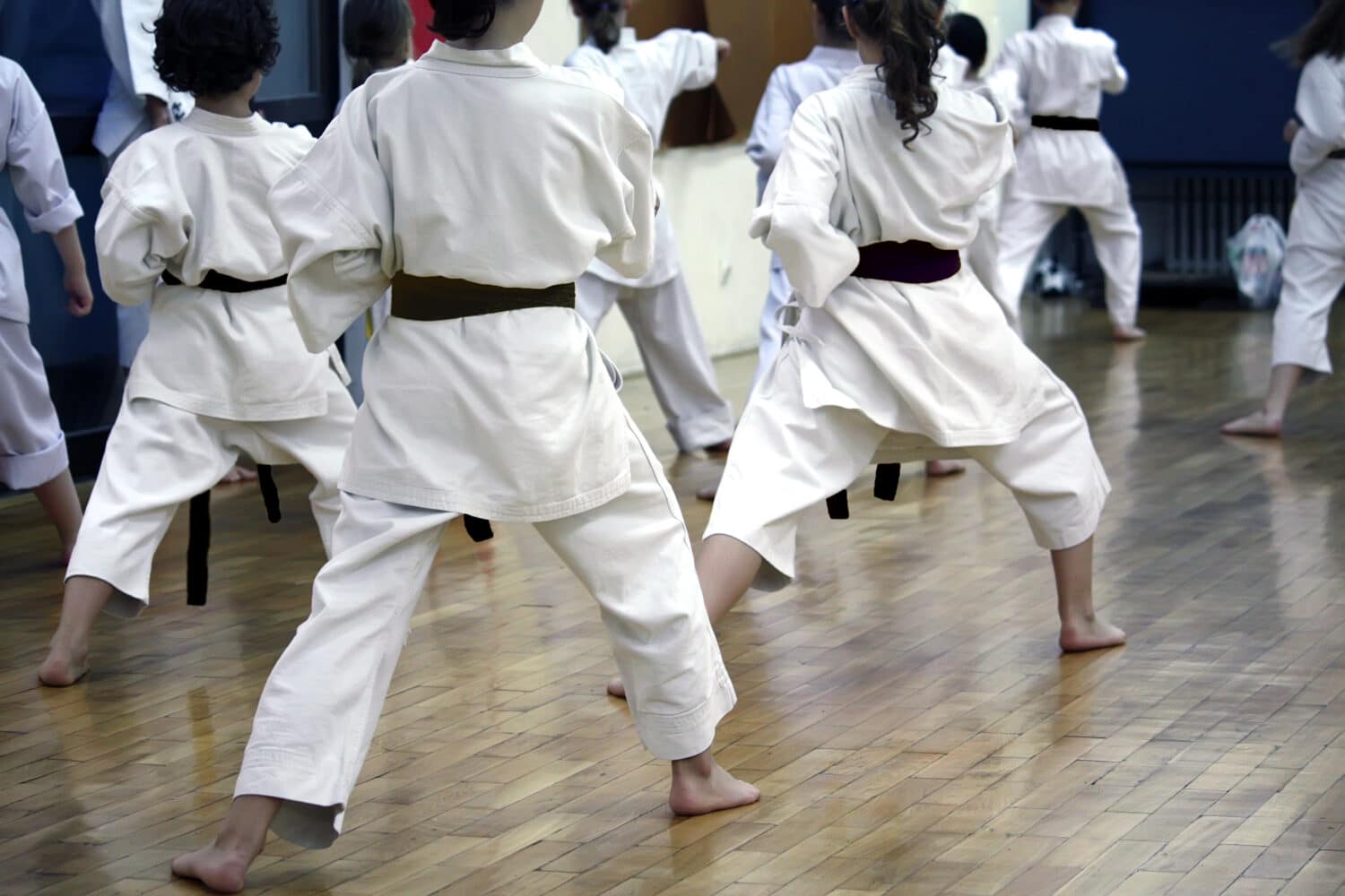 American School of Karate & Judo on Industrial Martial Arts for Kids & Adults